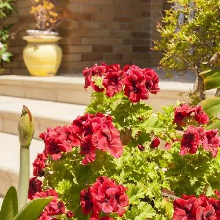 Glorieta - Xeckin Holidays Holiday home Calafell